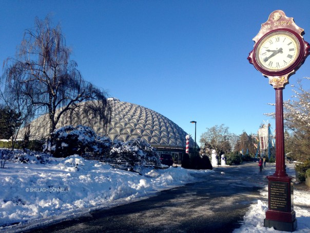 Queen E Park 8140 Copyright Shelagh Donnelly