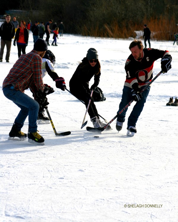 a-winters-scrimmage-3376-copyright-shelagh-donnelly