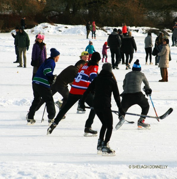 a-winters-scrimmage-3423-copyright-shelagh-donnelly