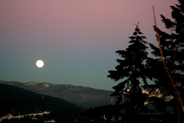 full-moon-rising-2965-copyright-shelagh-donnelly