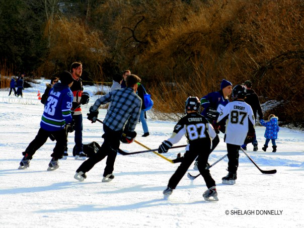 hockey-shinny-at-trout-lake-2017-3399-copyright-shelagh-donnelly