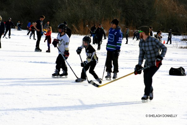 hockey-shinny-at-trout-lake-2017-3400-copyright-shelagh-donnelly