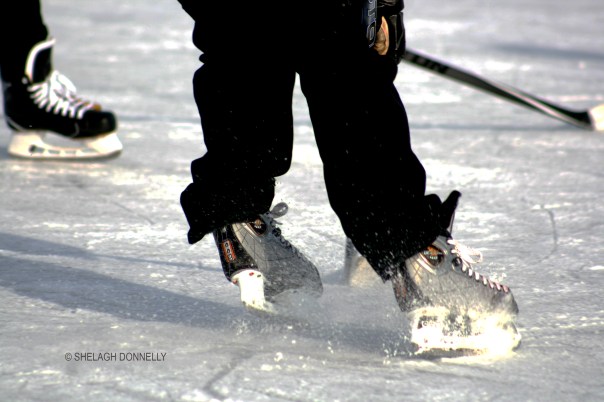hockey-time-3367-copyright-shelagh-donnelly