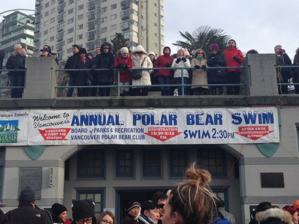 Watching the Brave - 2017 Polar Bear Swim Copyright Shelagh Donnelly