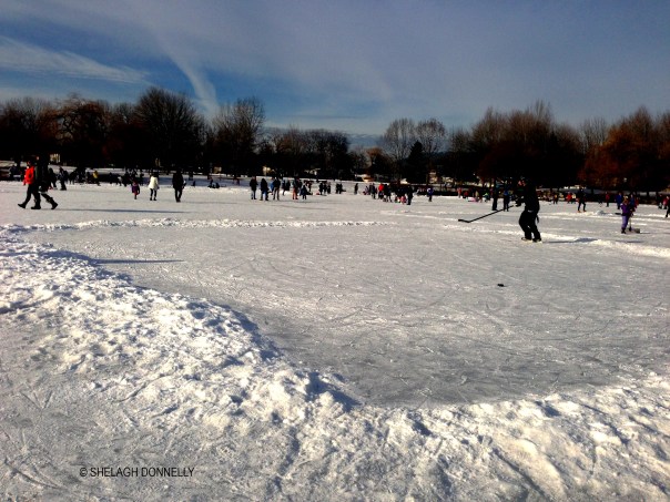 outdoor-rink-trout-lake-copyright-shelagh-donnelly