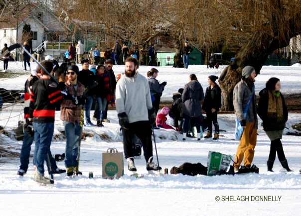 shinny-at-trout-lake-3329-copyright-shelagh-donnelly