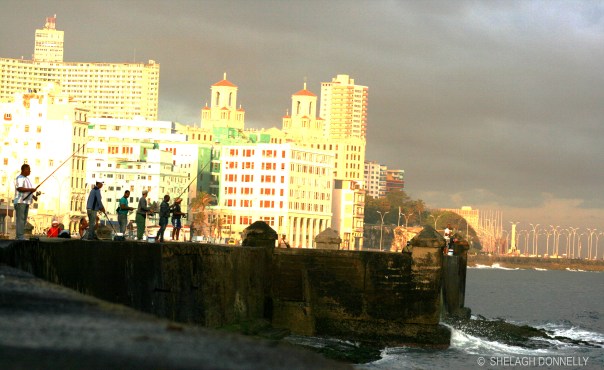 fishing-from-the-malecon-17-4373-copyright-shelagh-donnelly
