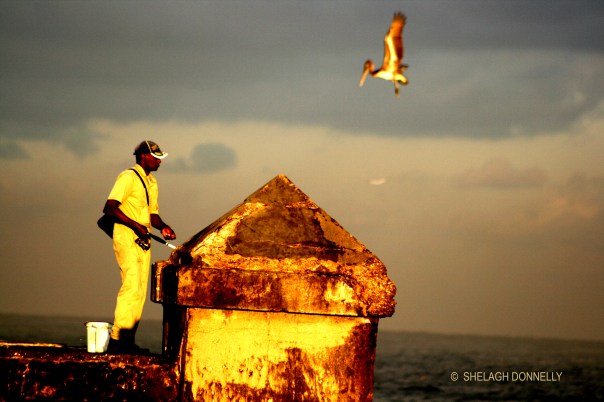 fishing-from-the-malecon-17-4399-copyright-shelagh-donnelly