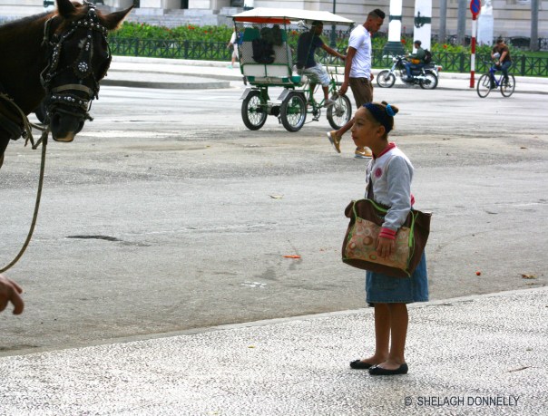 Havana Girl and Horse 17-3802 Copyright Shelagh Donnelly