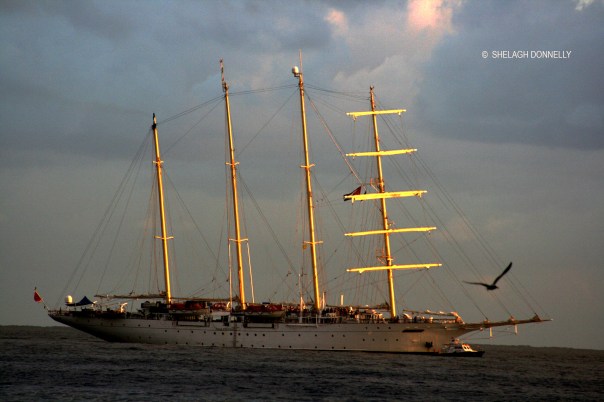 havana-harbour-17-4364-copyright-shelagh-donnelly