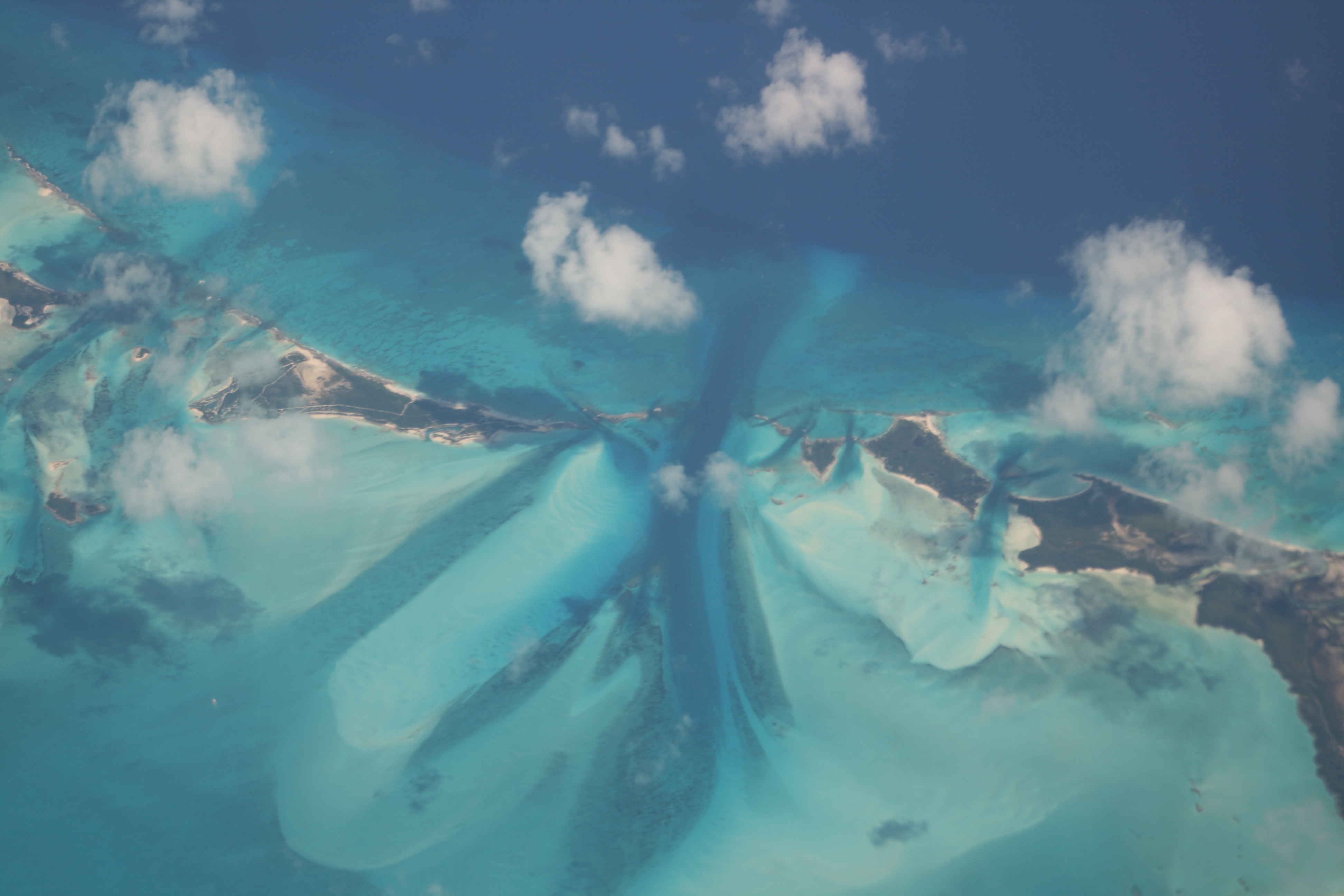 Caribbean-Waters-2019-7013-copyright-Shelagh-Donnelly